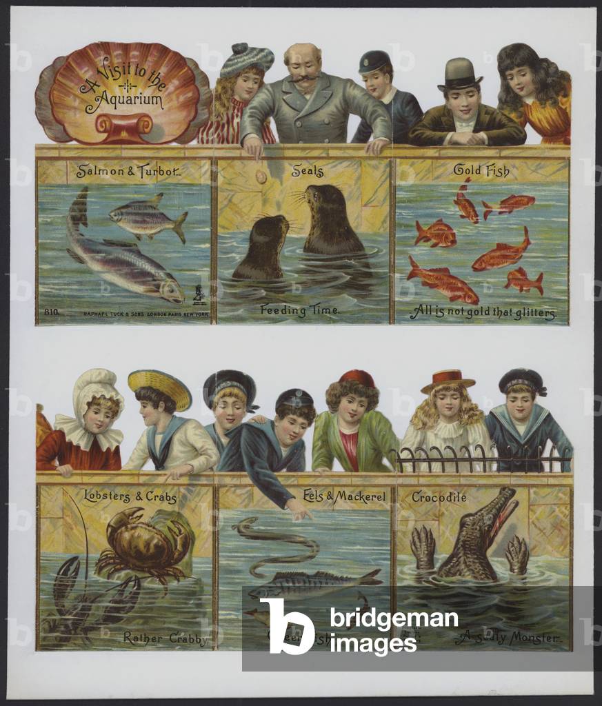 A visit to the acquarium (colour litho)