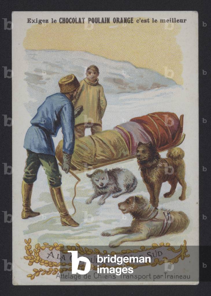 Attelage de Chiens Transport par Traineau (colour litho)
