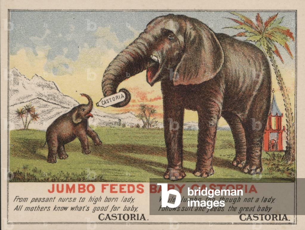 Jumbo feeds baby Castoria, advertisement for Fletcher's Castoria medicine, featuring P T Barnum's famous circus elephant (chromolitho)