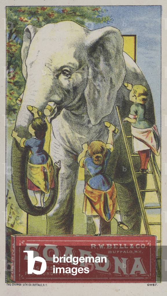 Advertisement for Soapona laundry soap, manufactured by R W Bell & Co, Buffalo, New York, USA (colour litho)