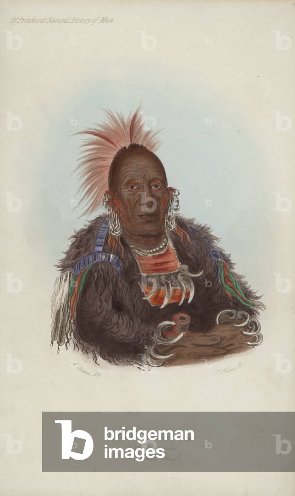 Wah-ro-nee sah, The Surrounder, An Ottoe Chief (aquatint)