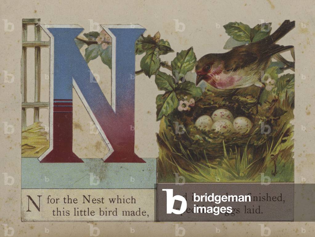 Letter N (colour litho)