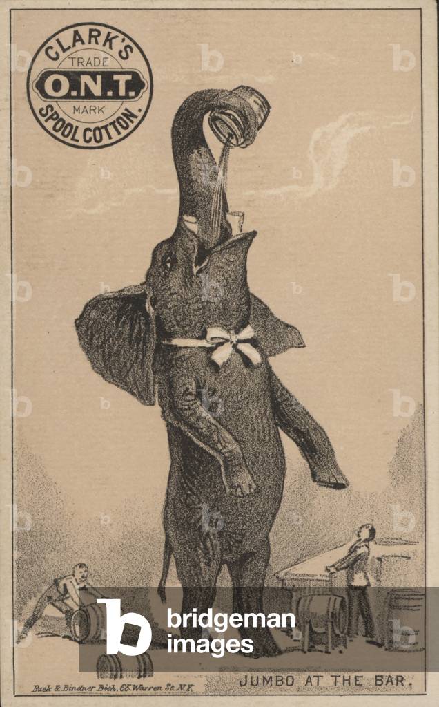 Jumbo's arrival, advertisement for Clark's spool cotton, featuring P T Barnum's famous circus elephant (litho)