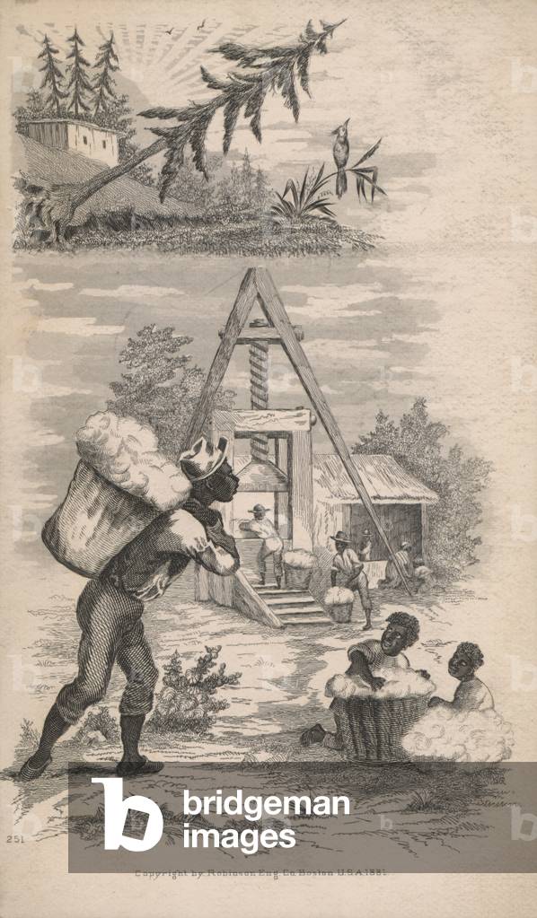 African Americans working at a cotton mill, 1881 (engraving)