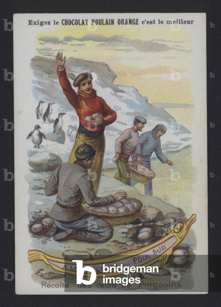 Recolte des oeufs de Pingouins (colour litho)