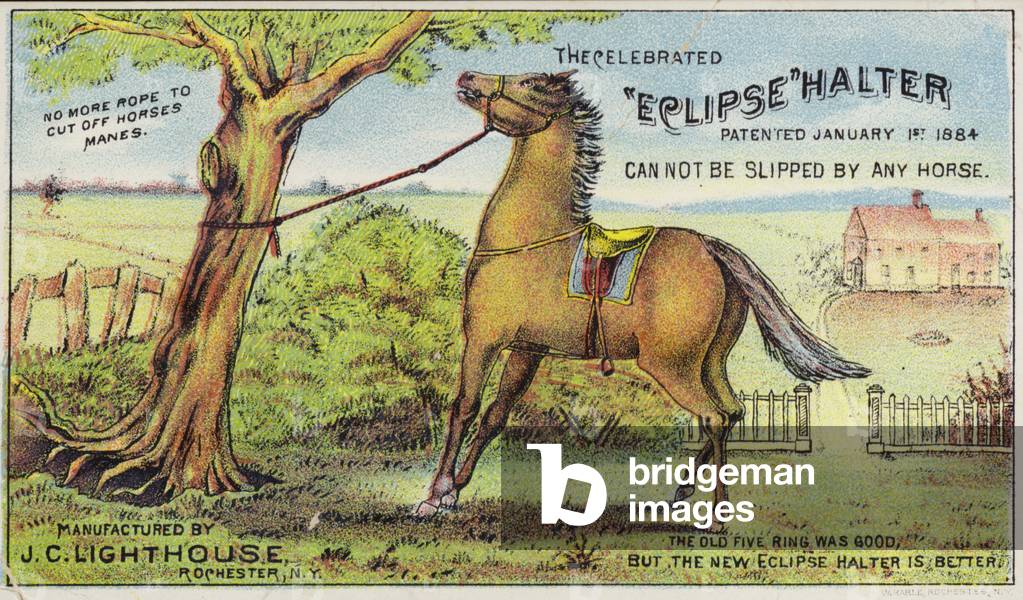 Tethered Horse (chromolitho)