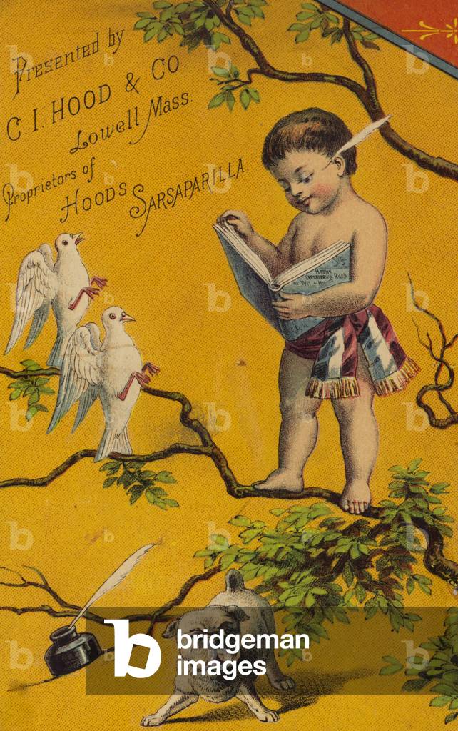 Cherub Reading Book In Tree (chromolitho)