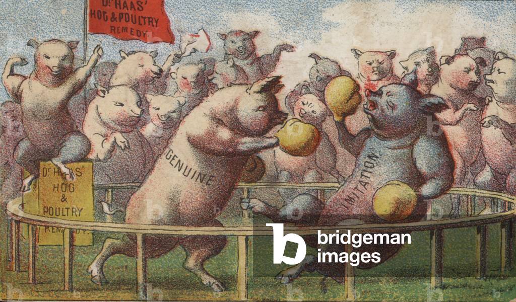 Hogs in the Boxing Ring (chromolitho)