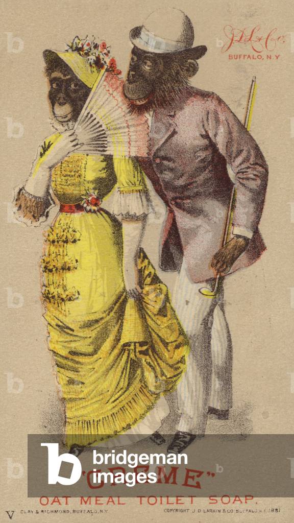 Chimpanzee's In Clothes (chromolitho)