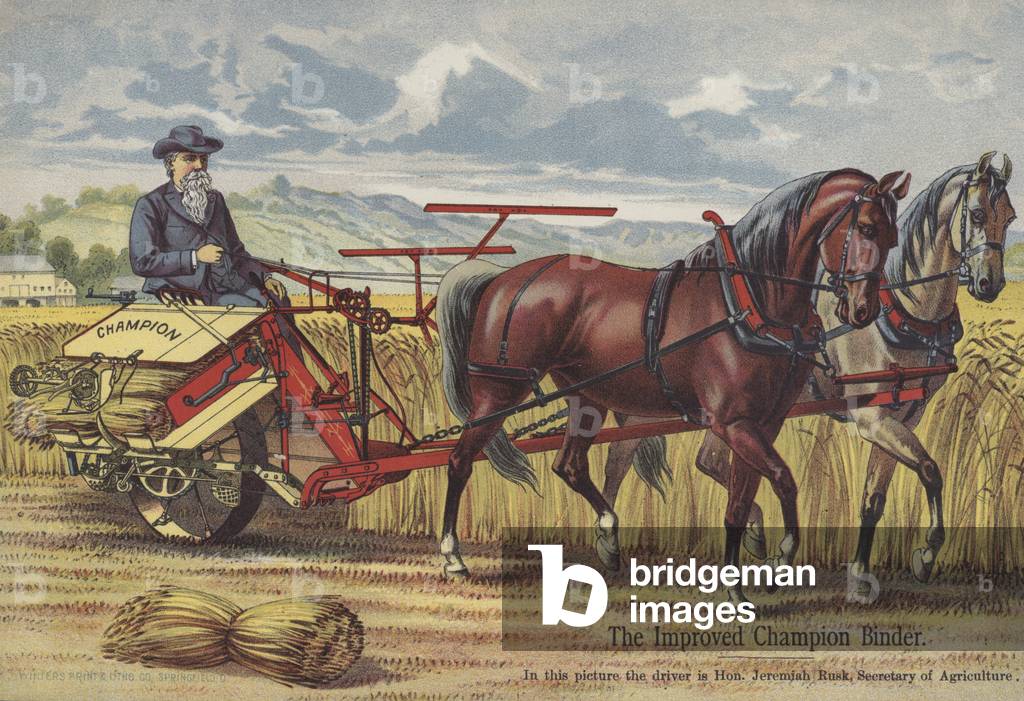 The improved Champion binder, being driven by US Secretary for Agriclture Jeremiah Rusk (colour litho)