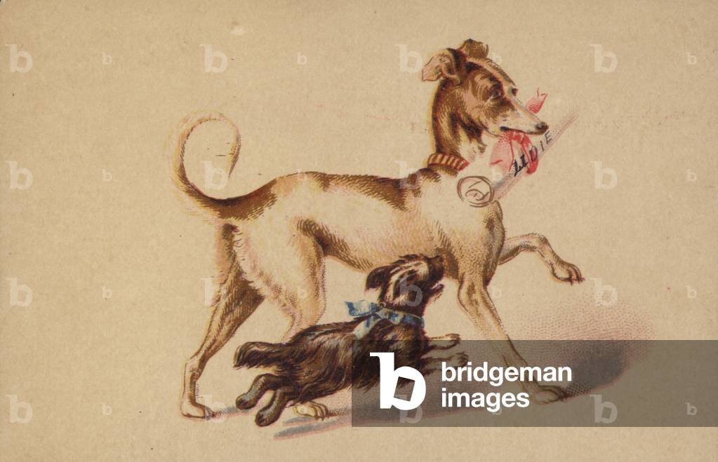 Large and small dog running (chromolitho)