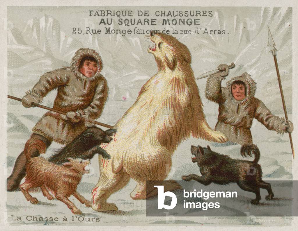 Hunting polar bears with dogs (chromolitho)