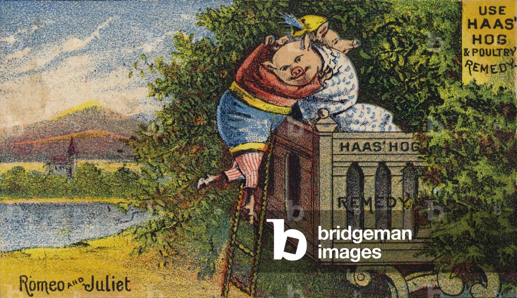 Hog Feeling Unwell (chromolitho)