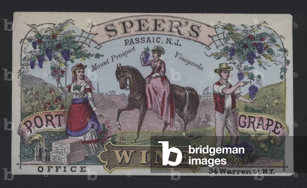 Speers, Passaic, NJ, Mount Prospect Vineyards, Port, Wine, Grape (colour litho)