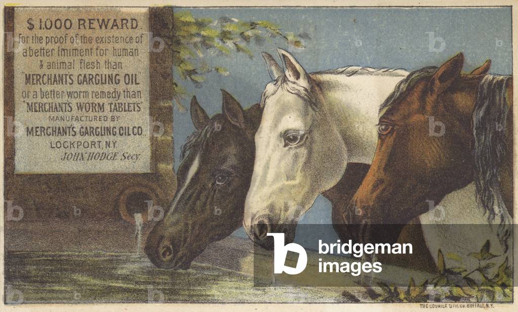 Horses drinking water (chromolitho)