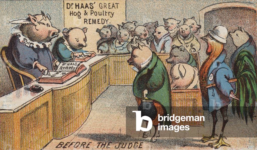 Hog in Court (chromolitho)