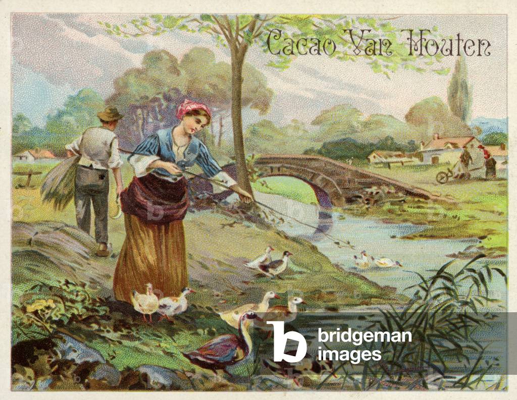 Duck keeping (chromolitho)