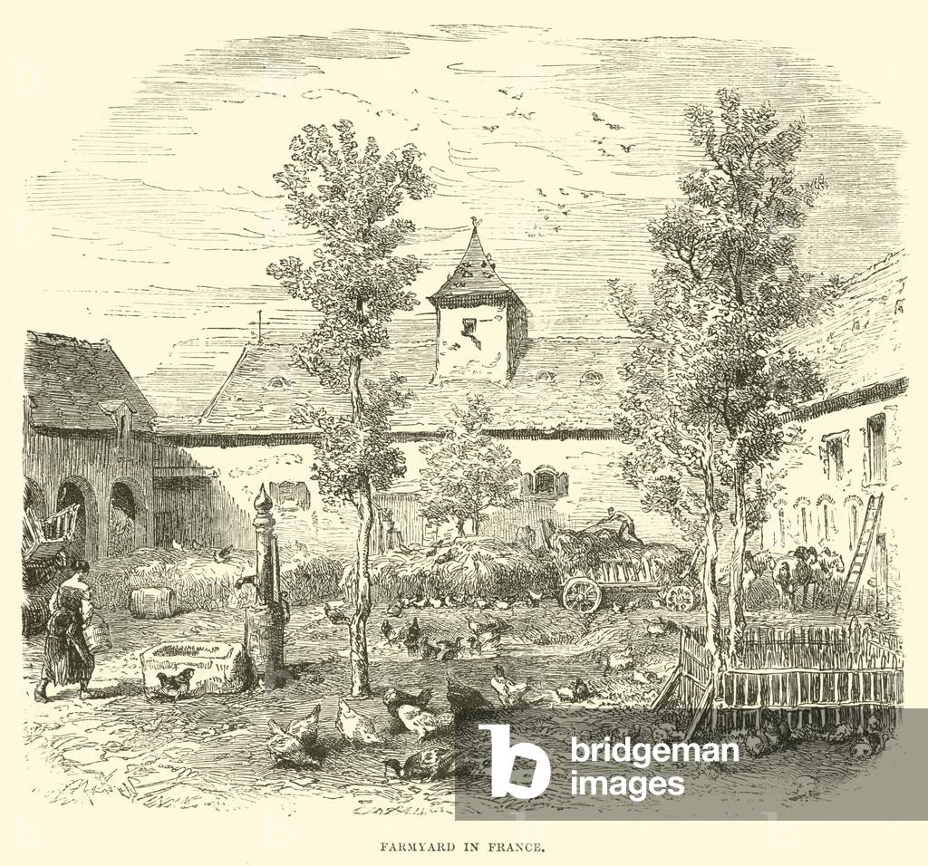 Farmyard in France (engraving)