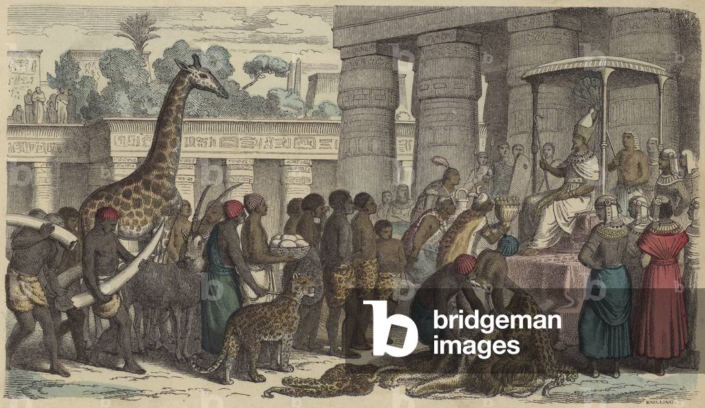 Tribute offerings from Ethiopia being presented to the Pharaoh of Egypt (coloured engraving)