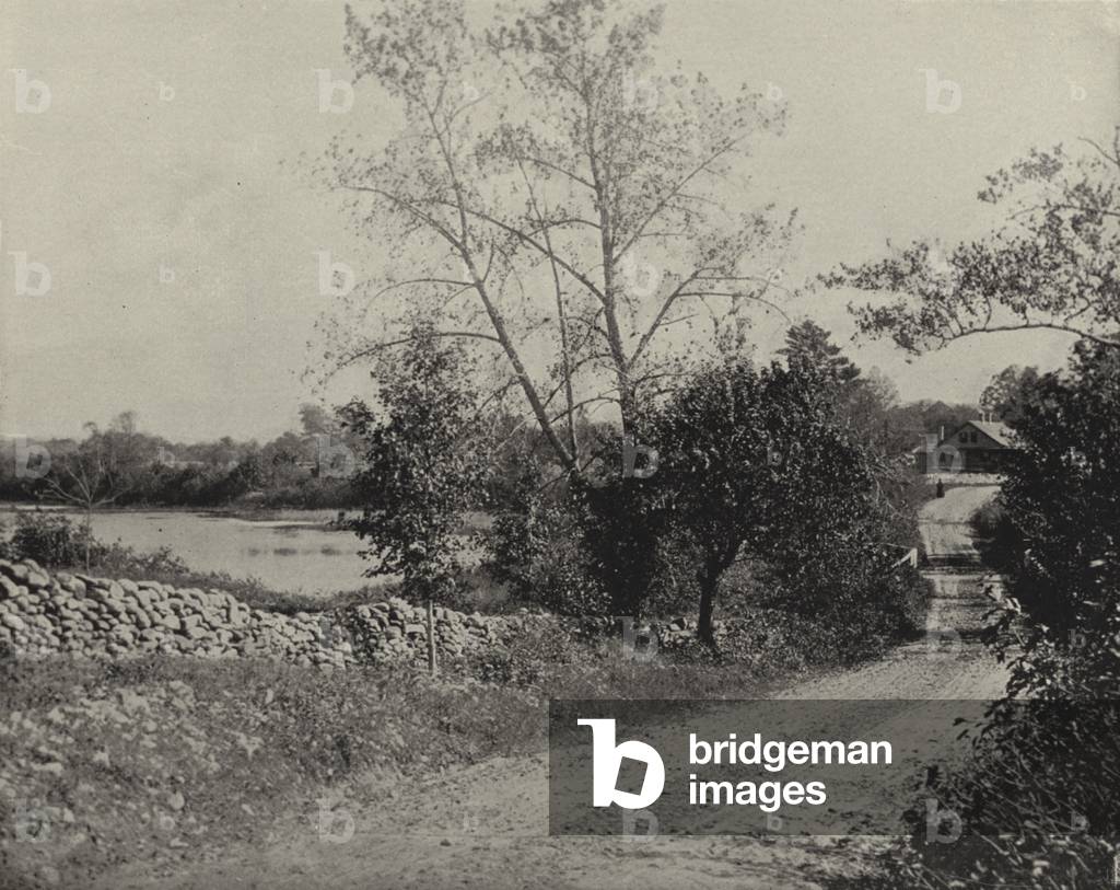 Windham Frog Pond, Windham, Connecticut (b/w photo)