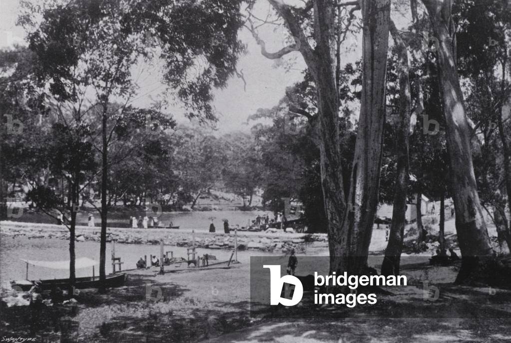 Sydney, NSW: National Park (b/w photo)