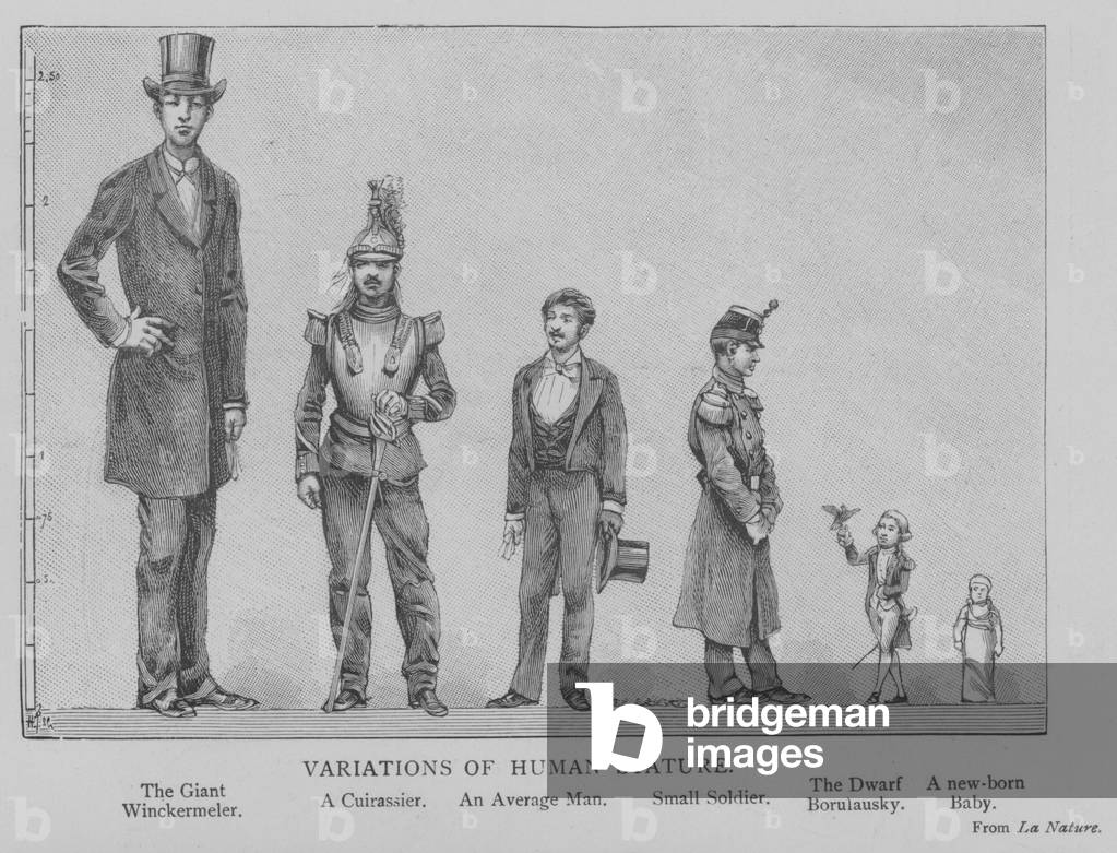 Variations of Human Stature (engraving)