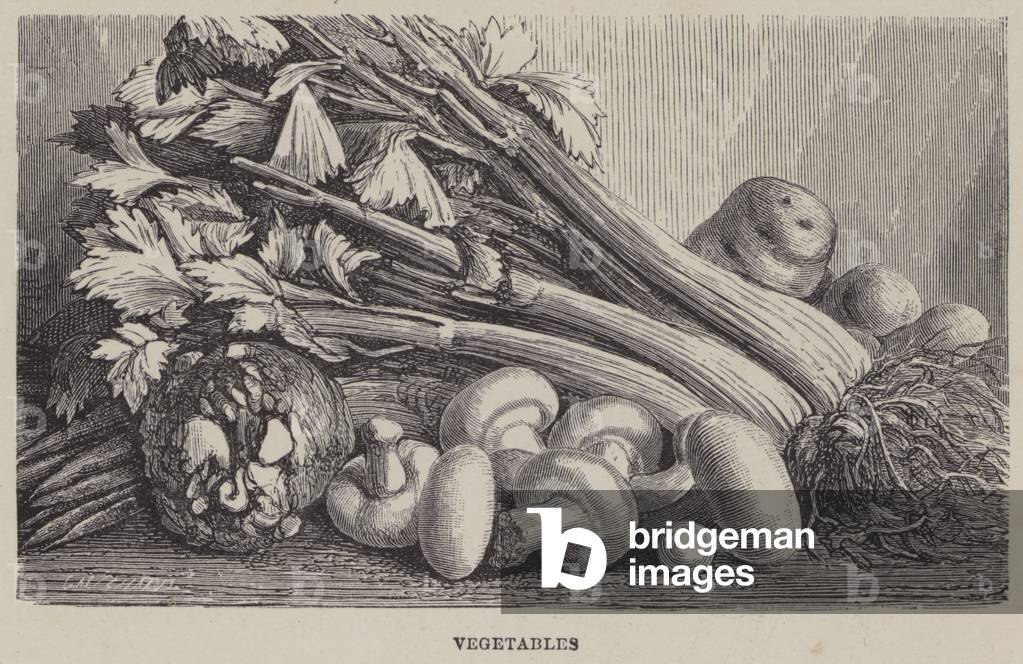 Vegetables (engraving)
