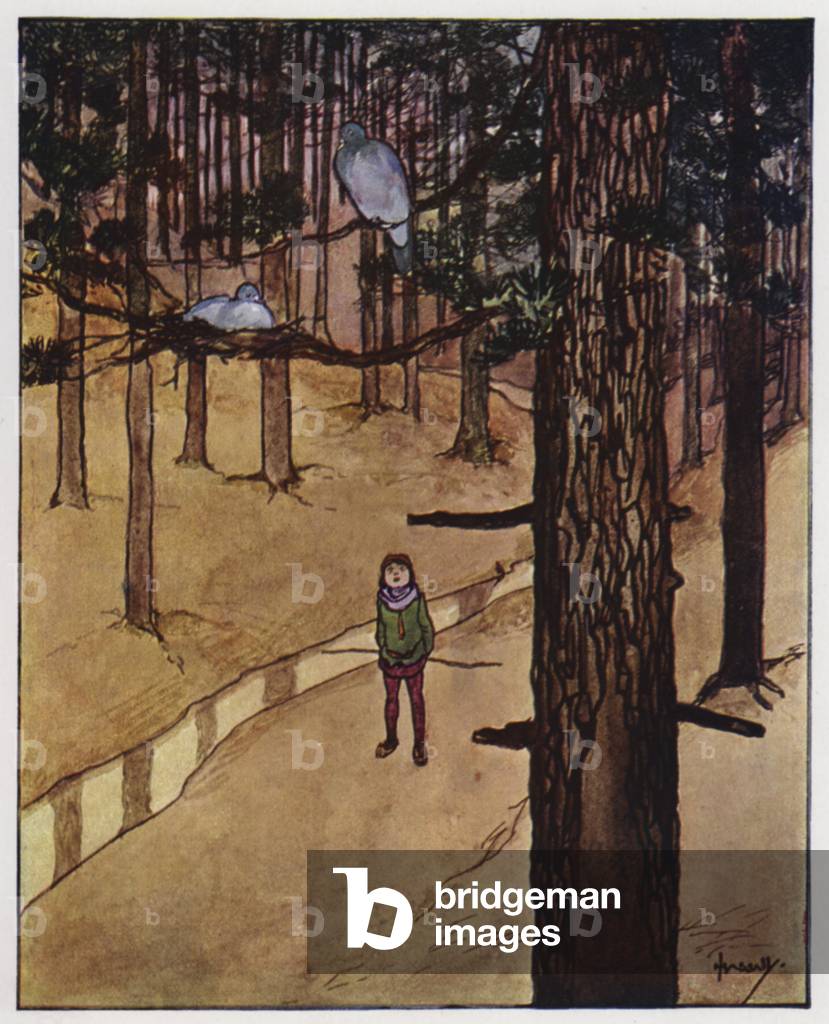 The wood-pigeon (colour litho)