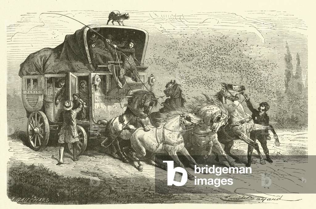 The rain of beetles (engraving)