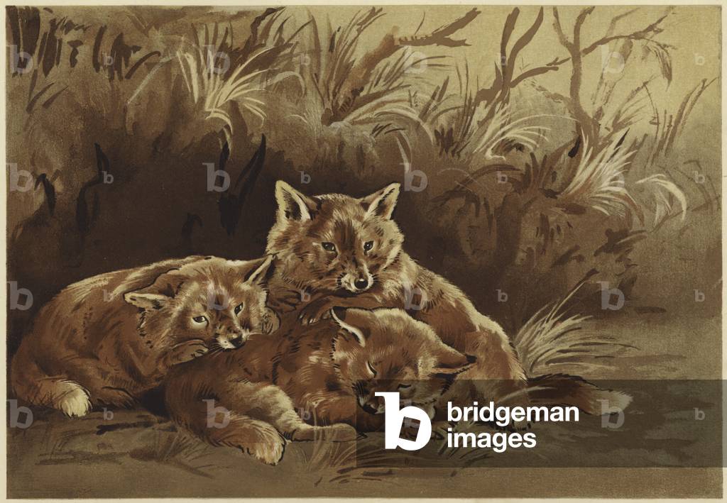 The robbers' den (litho)