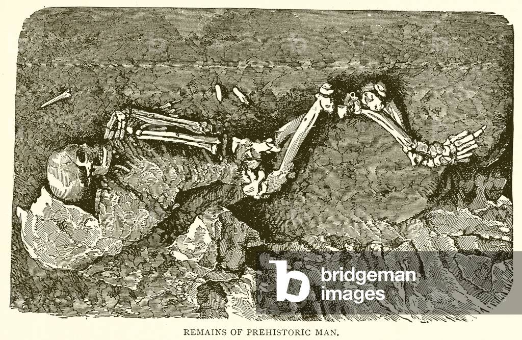 Remains of Prehistoric Man (engraving)