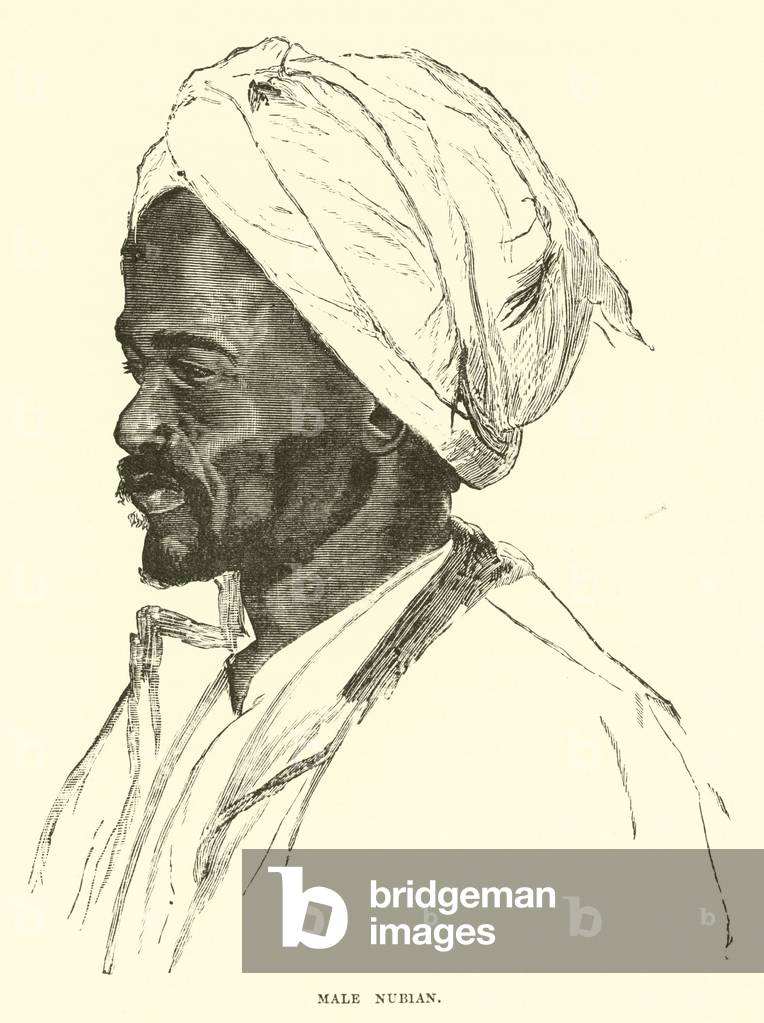 Male Nubian (engraving)