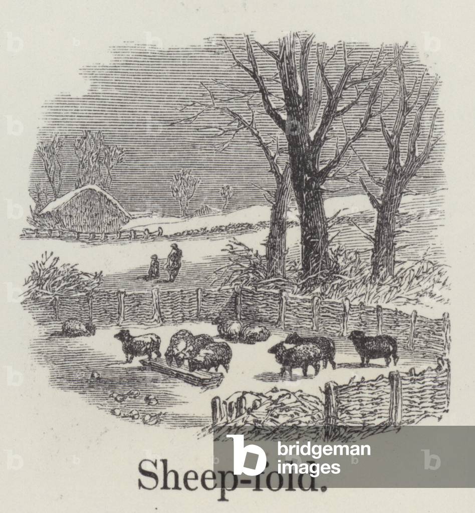 Sheepfold (engraving)