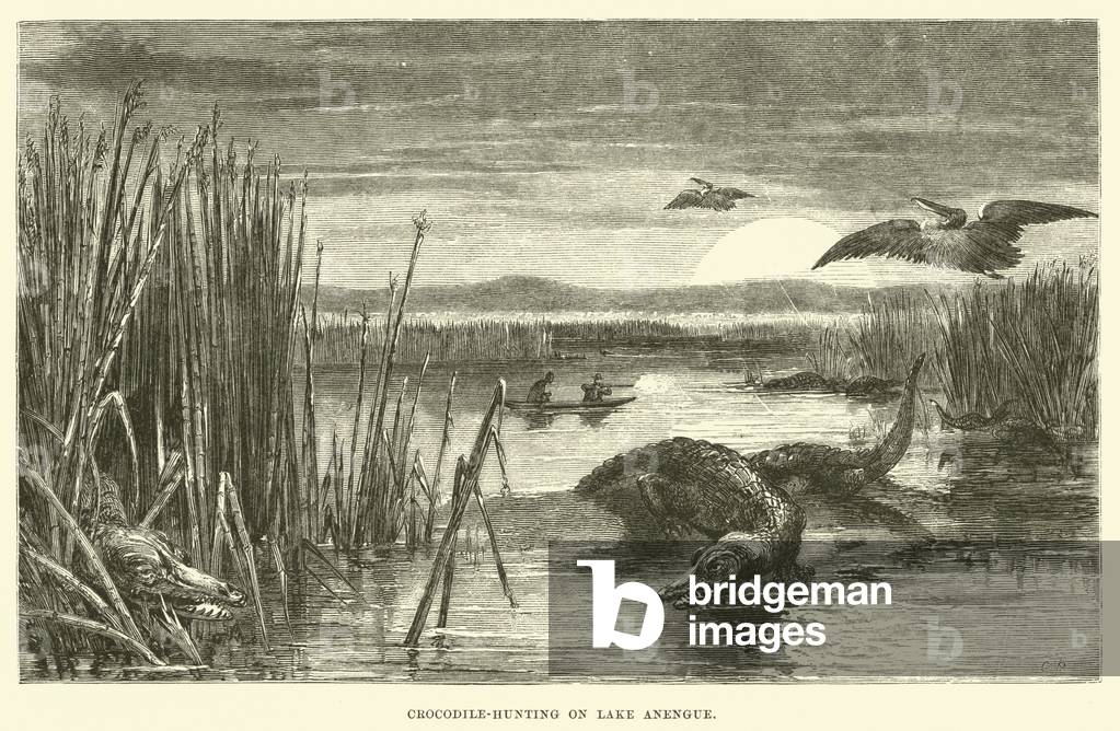 Crocodile-Hunting on Lake Anengue (engraving)
