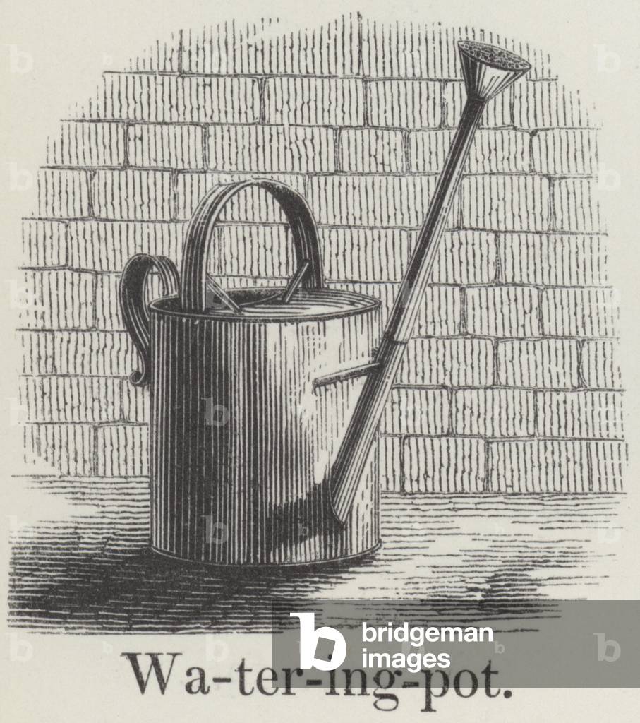 Watering pot (engraving)