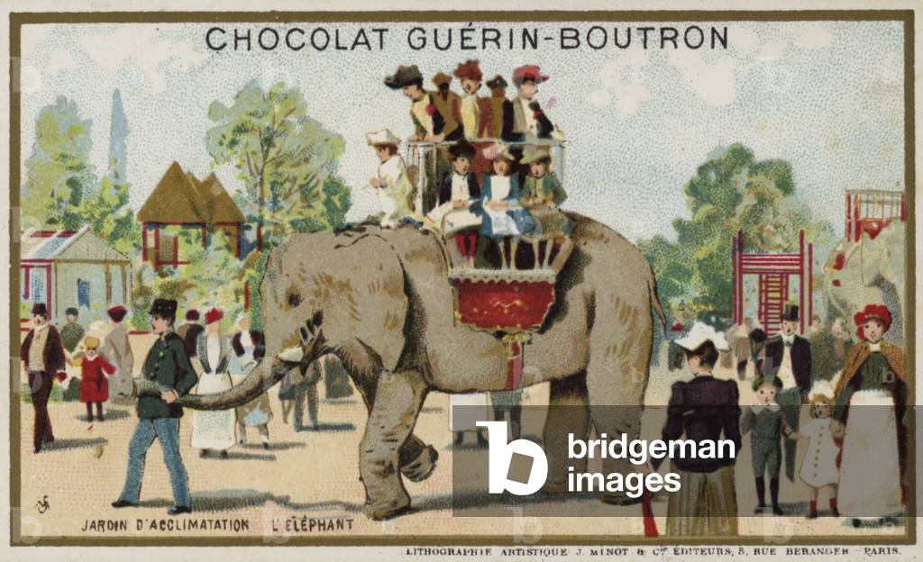 Elephant, Jardin d'Acclimation, Paris (chromolitho)