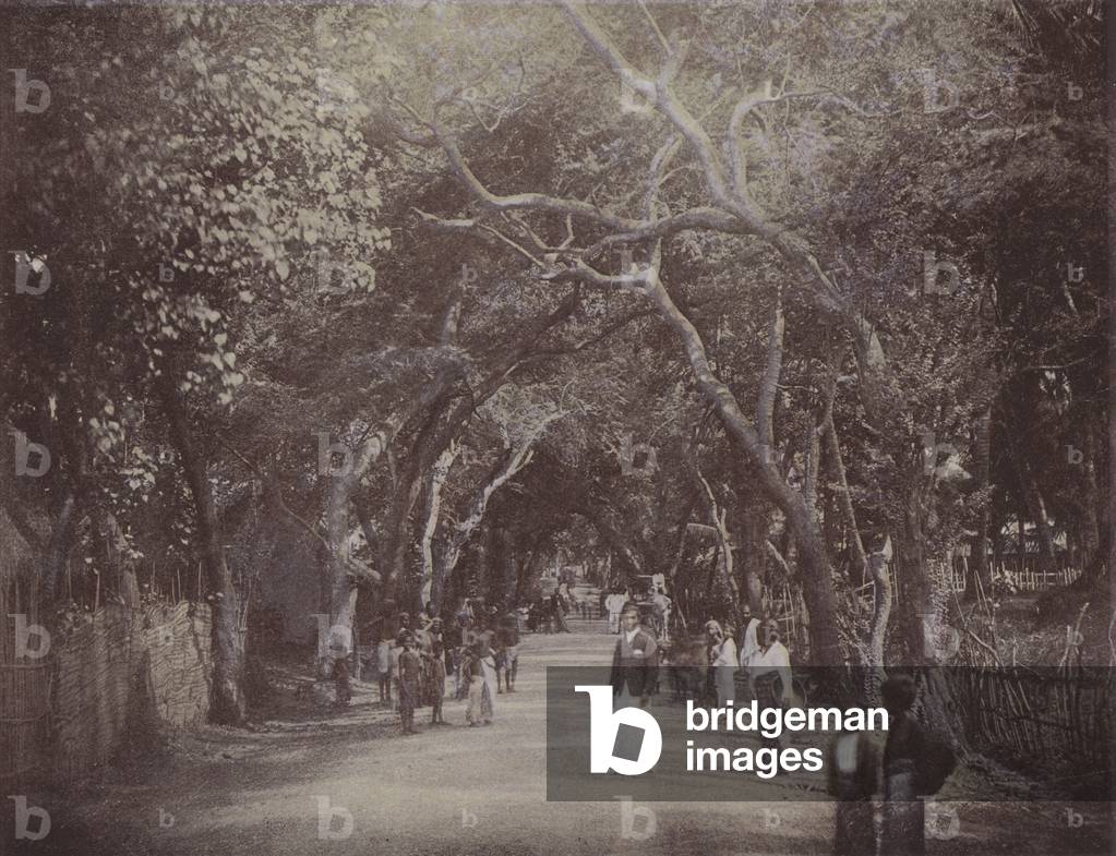 Skinner's Road, Colombo (coloured photo)