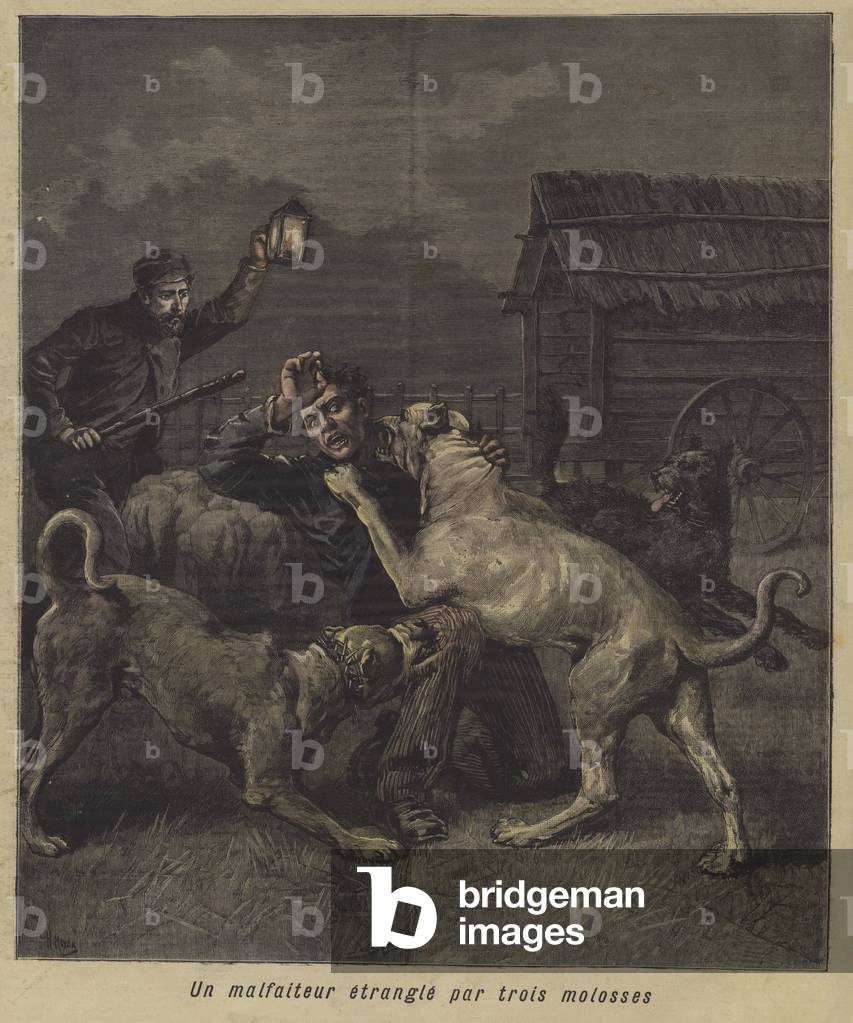 A criminal caught by three mastiffs (colour litho)