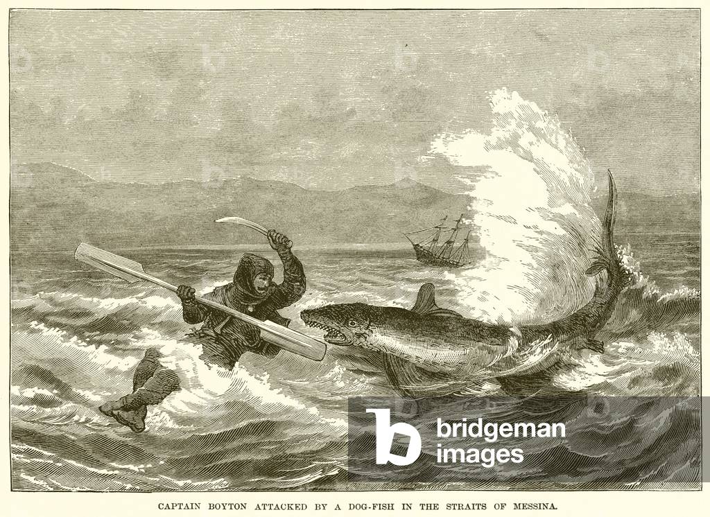Captain Boyton Attacked by a Dog-Fish in the Straits of Messina (engraving)