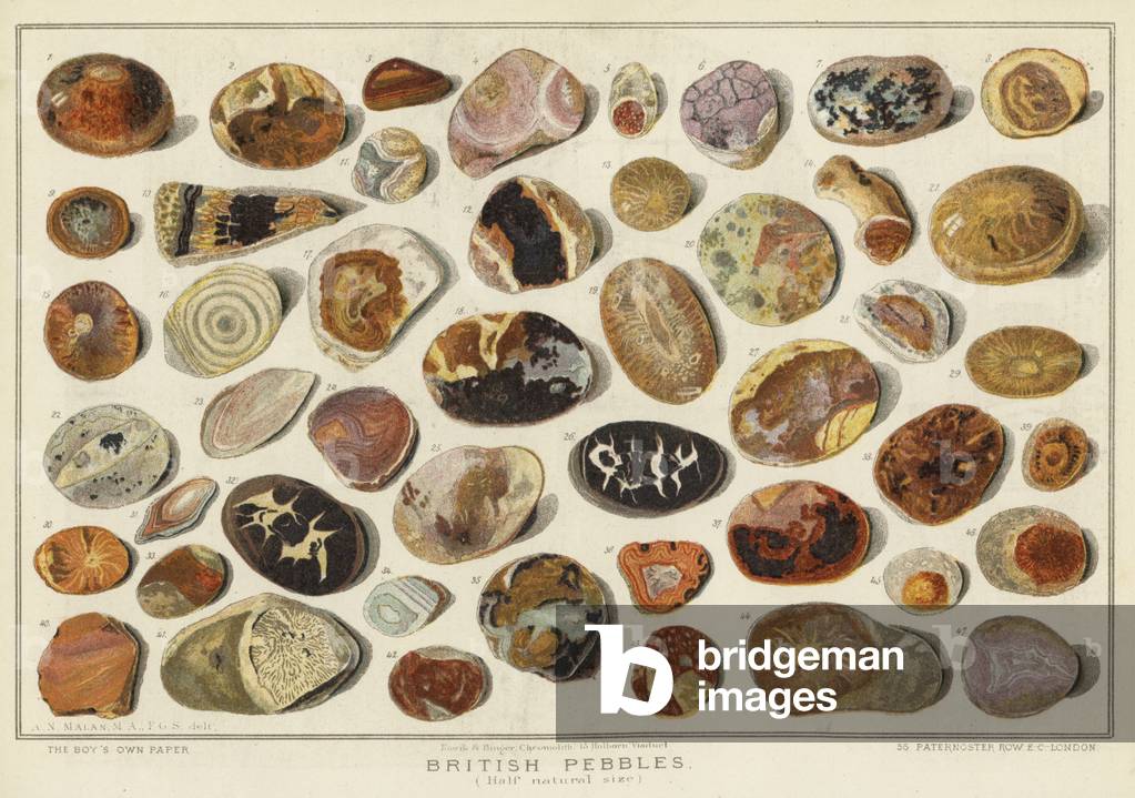 British Pebbles (chromolitho)