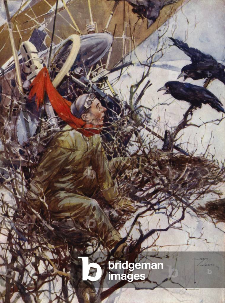 On the Tree Top - pilot and plane among the birds (colour litho)