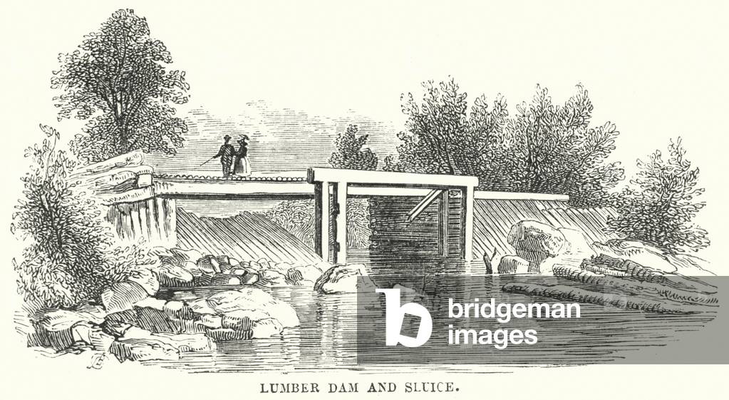 Lumber Dam and Sluice (engraving)