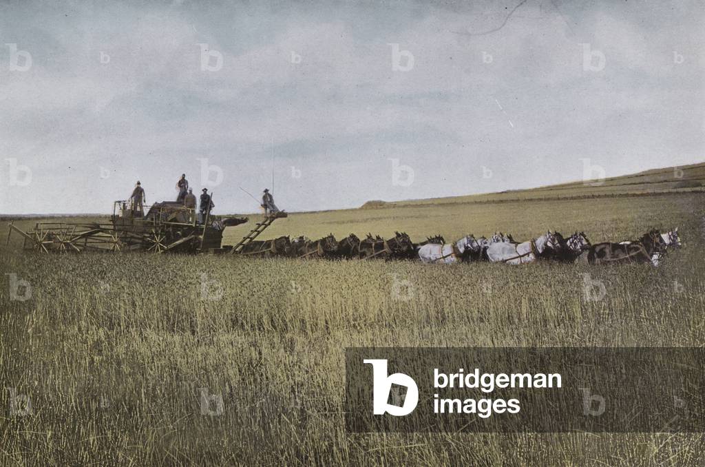 Oregon: Threshing in Eastern Oregon (photo)
