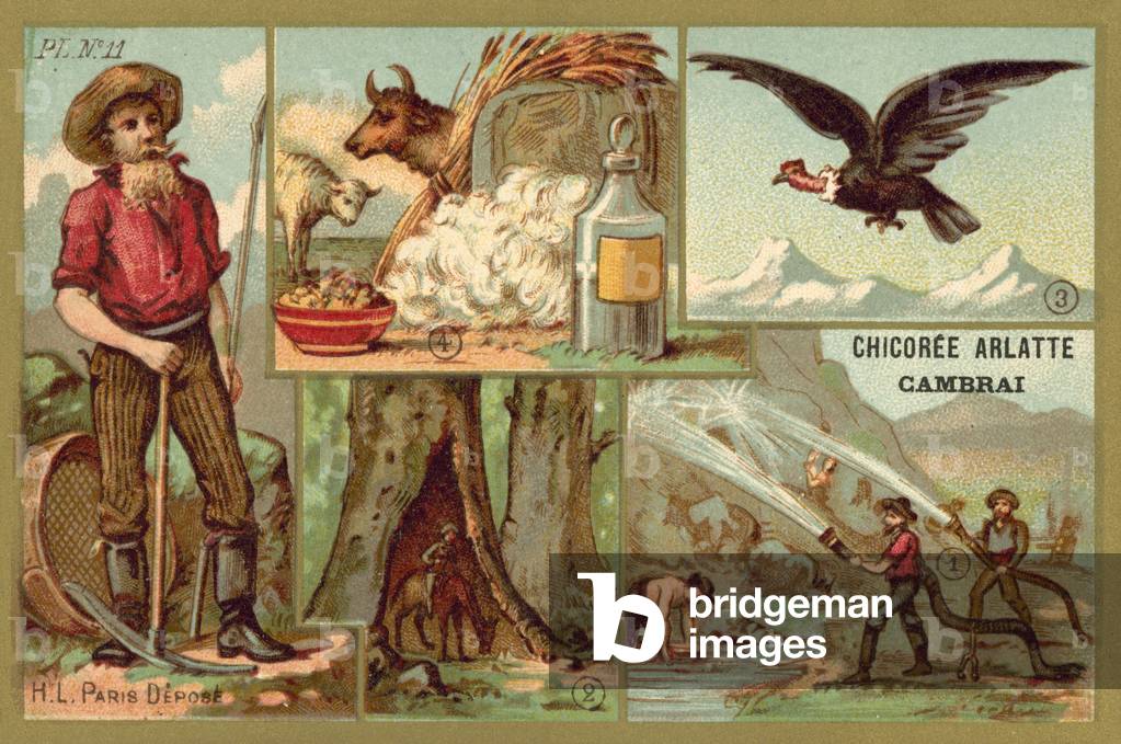 California (chromolitho)