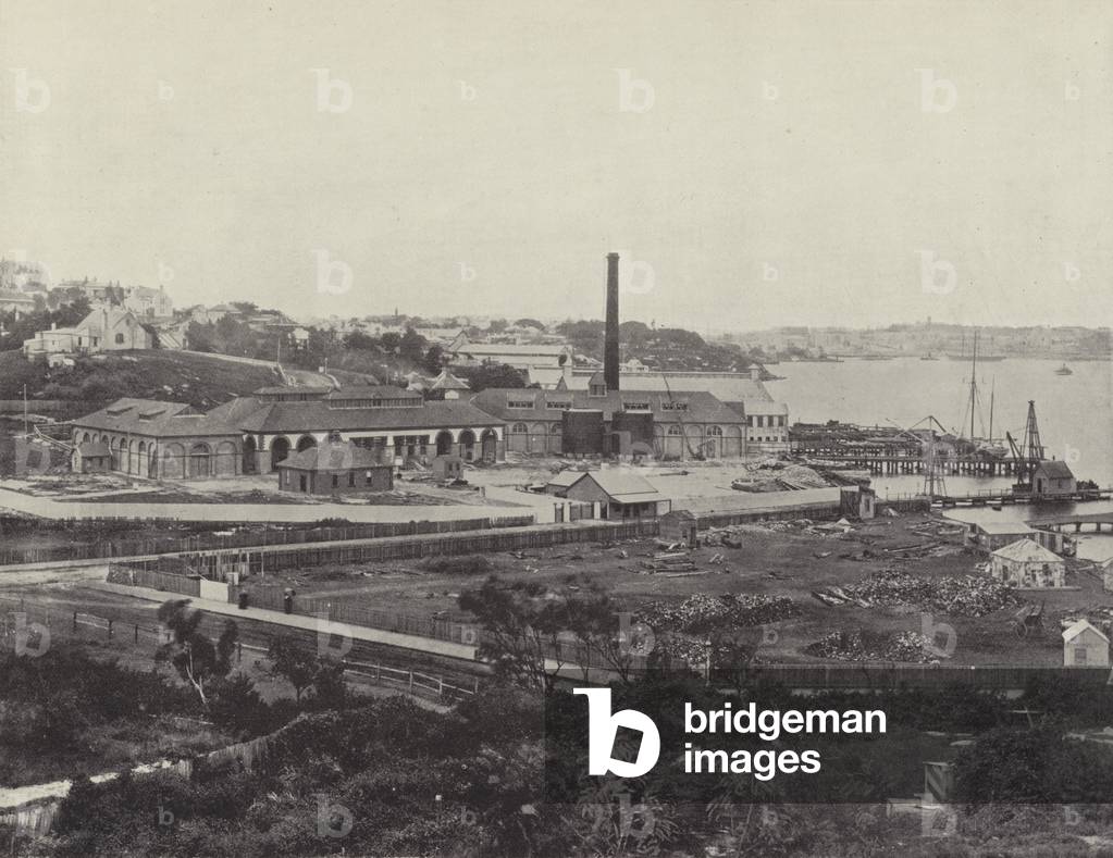 Sunlight Soap Company's Works, near Sydney (b/w photo)