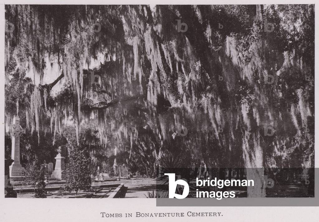 Tombs in Bonaventure Cemetery (b/w photo)