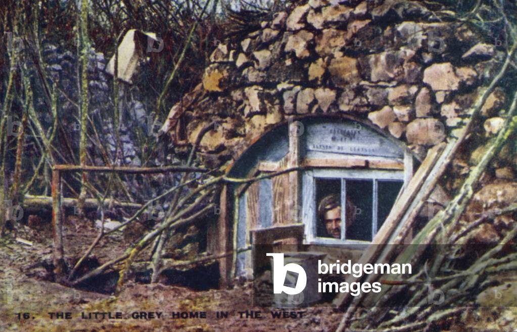 The Little Grey Home in the West (colour litho)