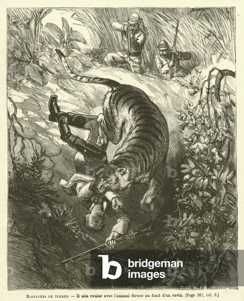 Histoires De Tigres (engraving)