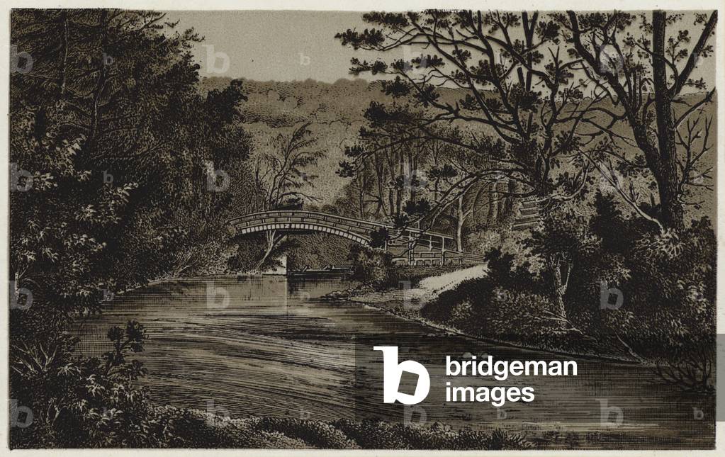 Beggar's Bridge, near Whitby (litho)