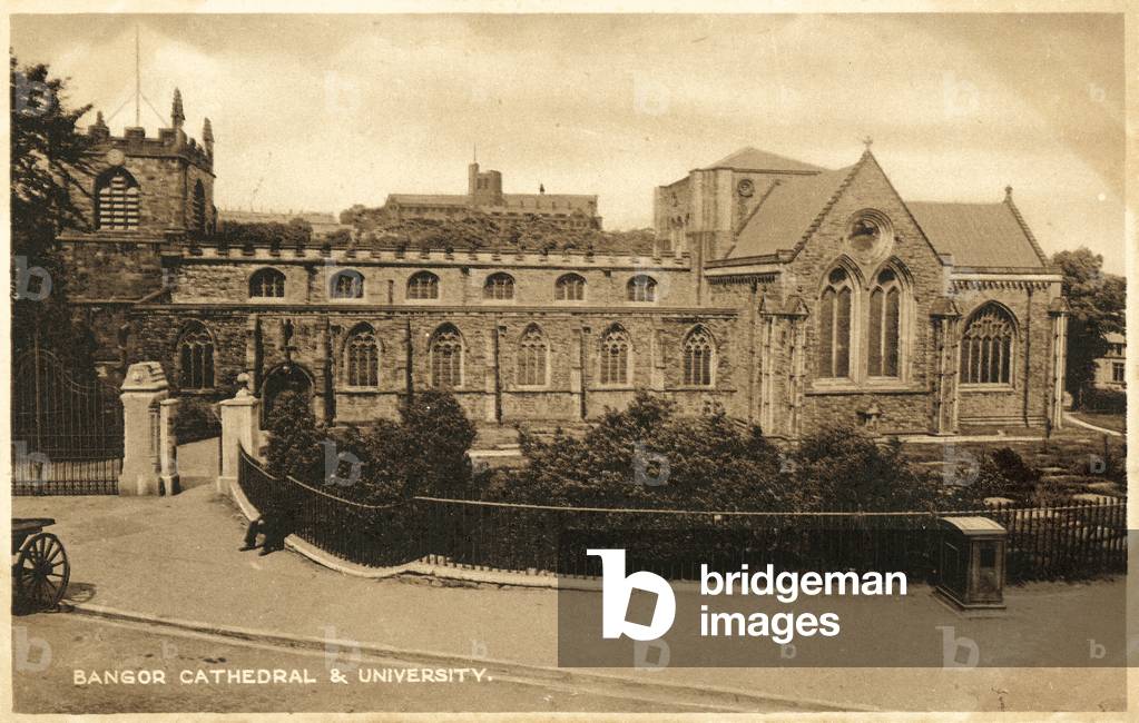Bangor Cathedral, University (b/w photo)